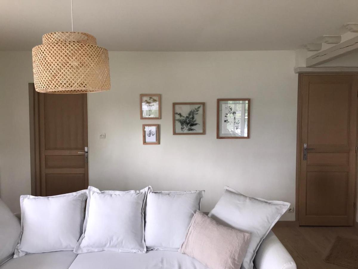 Ambiance Seine - Appartement 46M2 Terrasse - Hortensia Thomery ภายนอก รูปภาพ