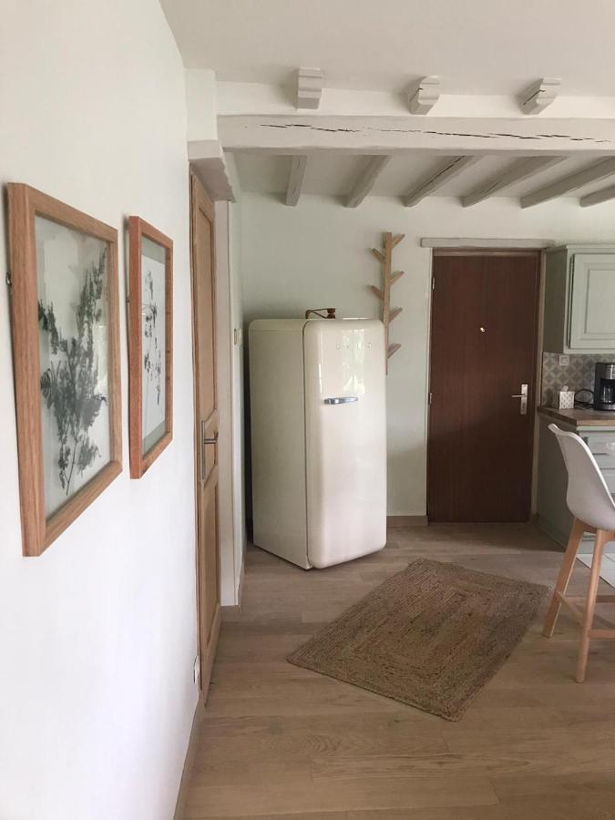 Ambiance Seine - Appartement 46M2 Terrasse - Hortensia Thomery ภายนอก รูปภาพ